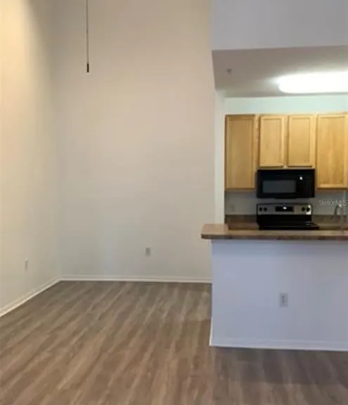 10205 Courtney Palms Blvd #303 — Photo 10