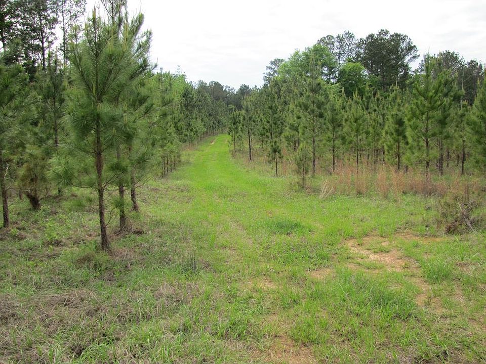 1st image of County Road 207