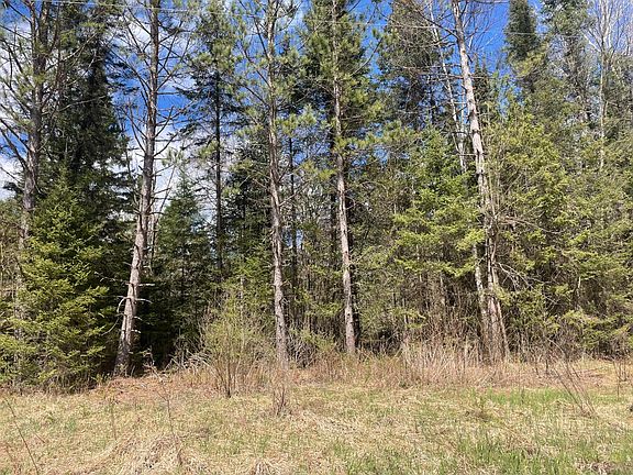 3rd image of 81620 Pociask Rd