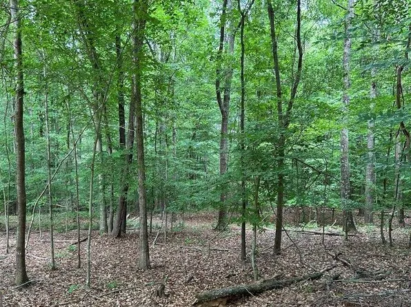LOT 4 Tall Oaks Rd, Watkinsville, GA 30677