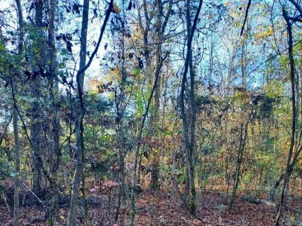 0 Hunters Ln, Bauxite, AR 72011