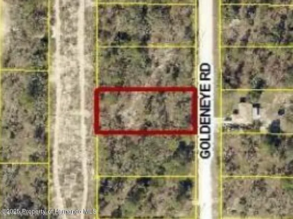 0 Goldeneye Rd, Brooksville, FL 34614