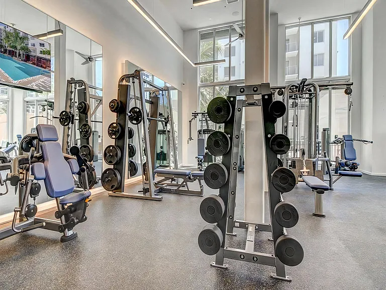 Weight Benches and Strength Machines in a Gym With Tall Windows and Mirrored Walls