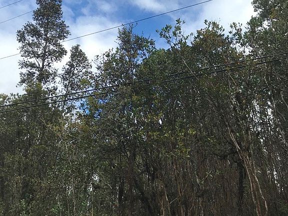 2nd image of Plumeria St Lot 6295