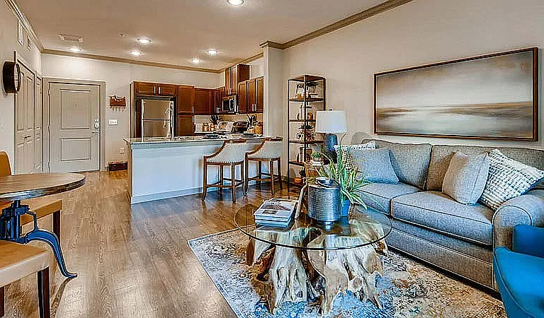 livingroom1-2834eae1d454fe430ee97a7e1d30aea2