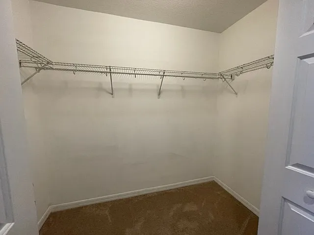2463 Carnation Ct — Photo 10
