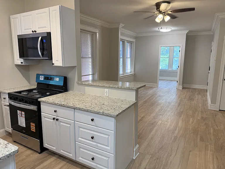 4544 Chouteau Ave #1E — Photo 7