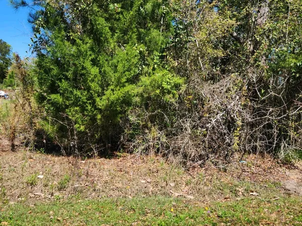 Xx Nw Camelia St, Bristol, FL 32321