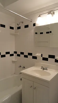 Rented by Manhattan Flats | media 7