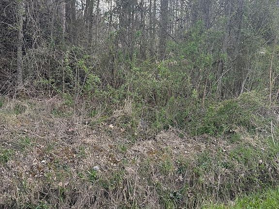 2nd image of Griffith Rd