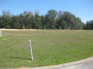 8194 Valhalla Ter, Kissimmee, FL 34747