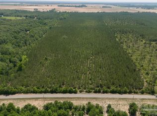 LOT 9 Bud Diamond Rd, Jay, FL 32565