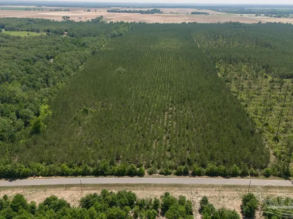 LOT 7 Bud Diamond Rd, Jay, FL 32565