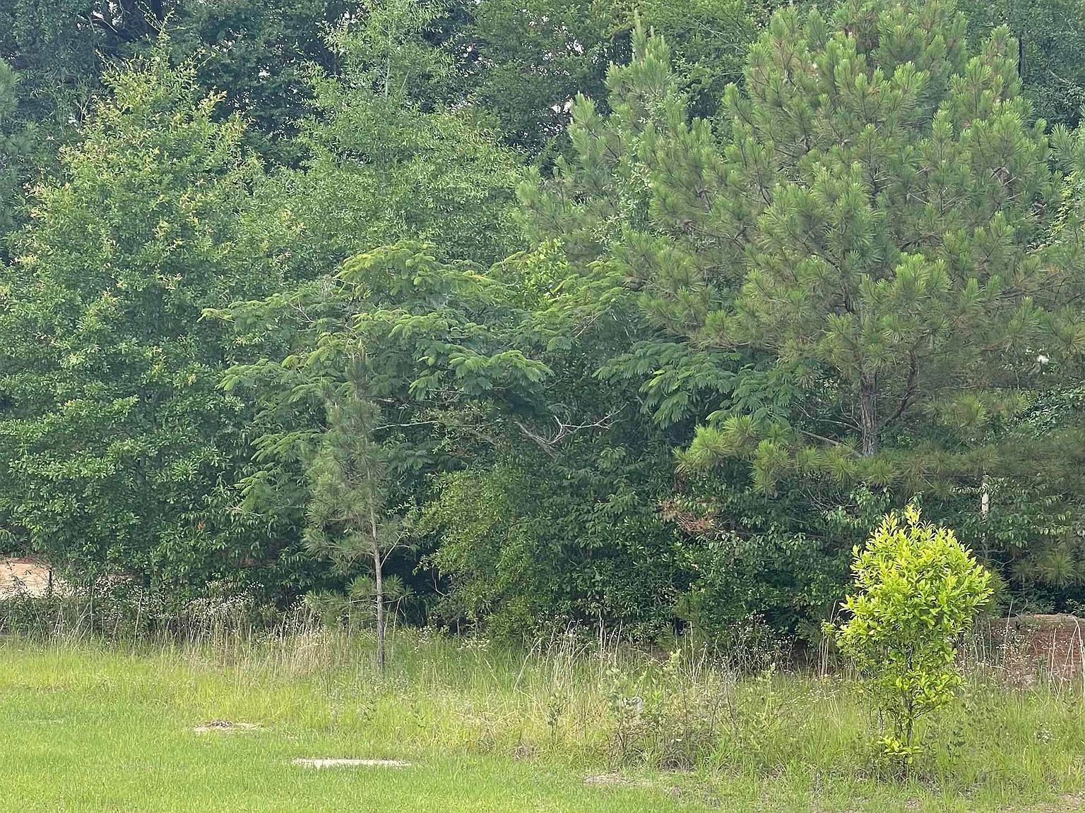 308 Bethune Downs Ct, Macon, GA 31211 MLS 233651 Zillow