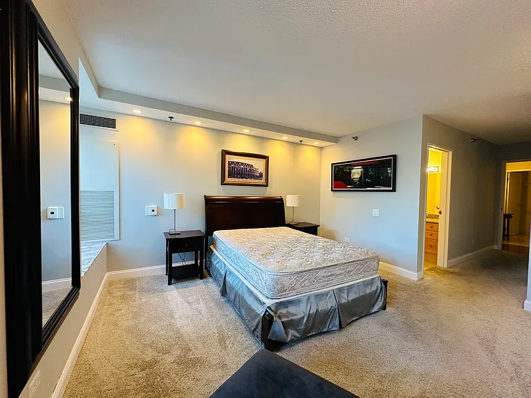 512 N McClurg Ct #3704 — Photo 11