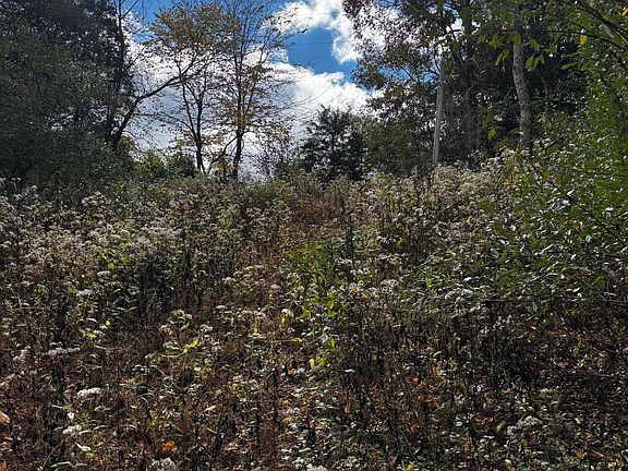 4th image of LOT-247A Tim Tam Rd