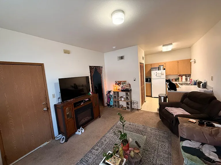 310 E Chestnut St — Photo 12