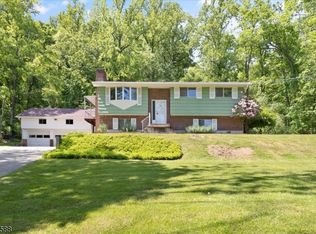 58 Little Philadelphia Rd, Washington, NJ 07882