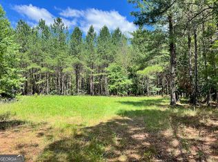 Salter Rd, Davisboro, GA 31018