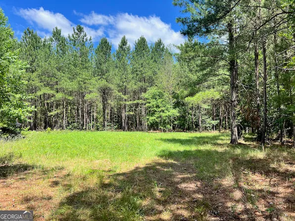 Salter Rd, Davisboro, GA 31018