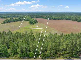 LOT 58 Mineral Springs Rd, Jay, FL 32565