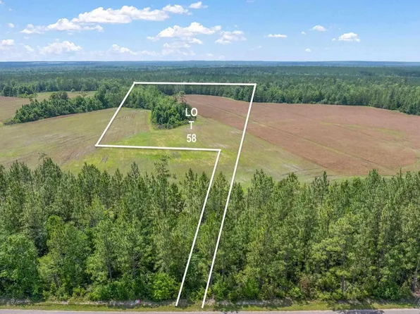 LOT 58 Mineral Springs Rd, Jay, FL 32565