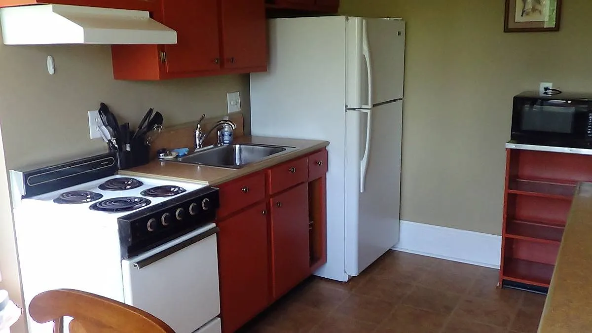 1 bed, 650 sqft, $900 — Photo 4