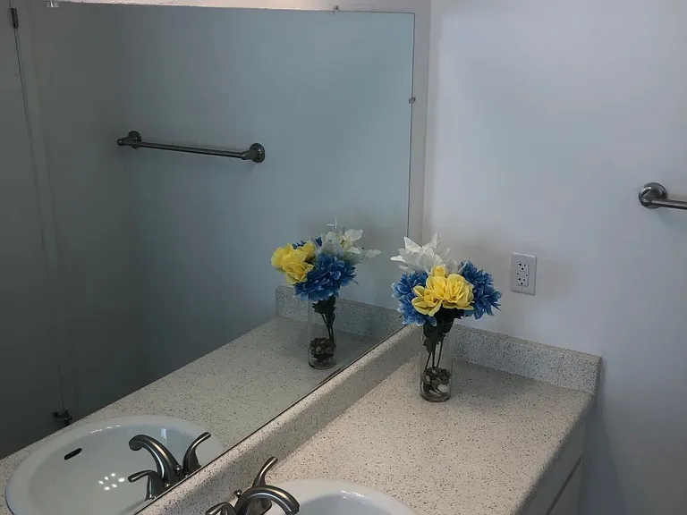Vanity Bathroom Sink