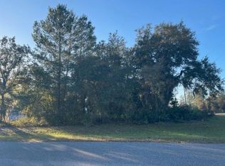 SW 153rd Place Rd LOT 1, Ocala, FL 34473