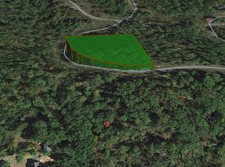 145 Brookside Pkwy, Lake Lure, NC 28746