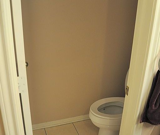 Mstr toilet (no clog design)