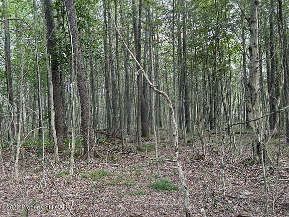2nd image of Bellasylva Rd
