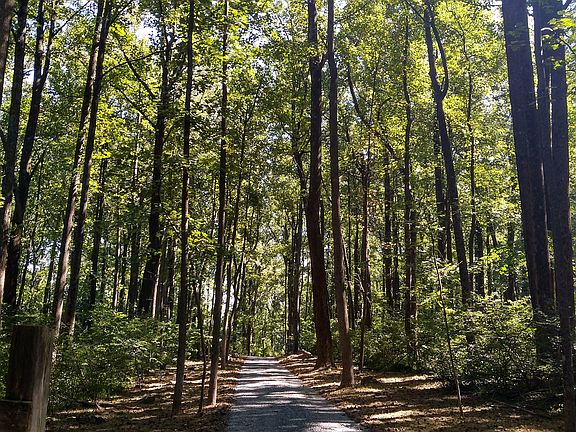 Long sloped gravel driveway.