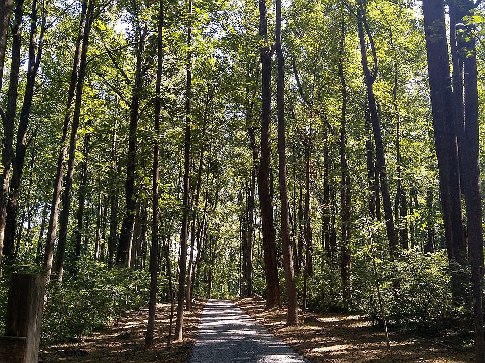 Long sloped gravel driveway.
