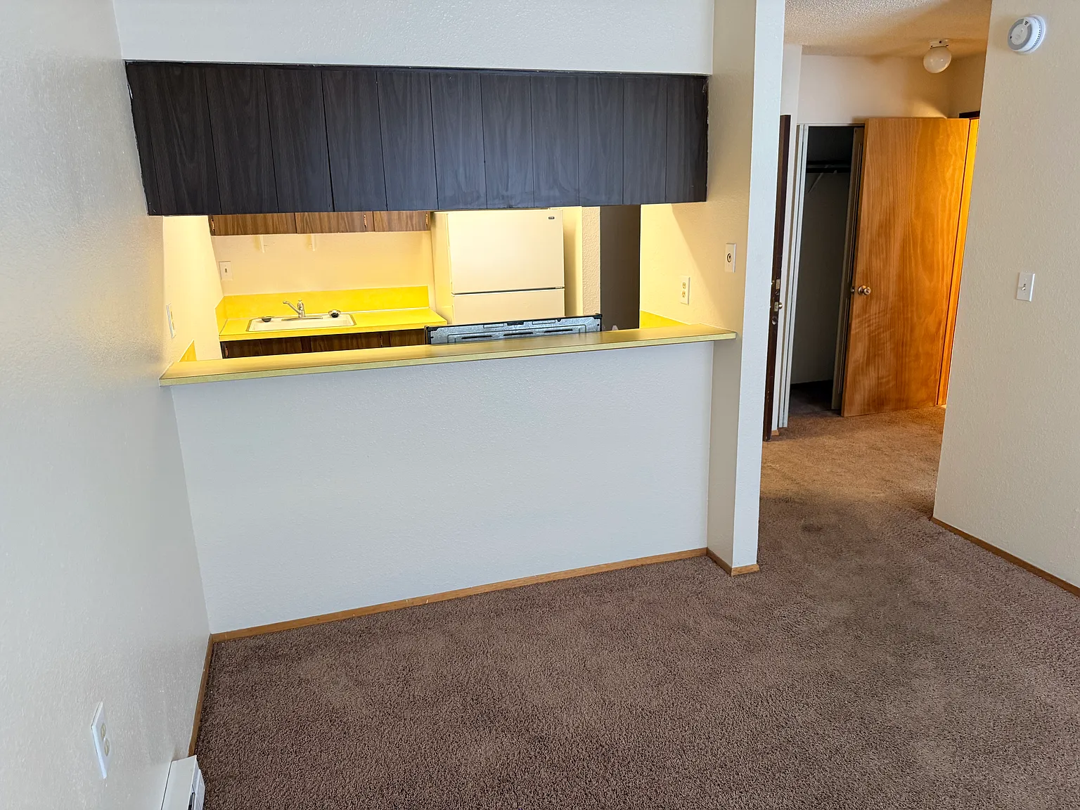 1 bed, 430 sqft, $1,150 — Photo 3