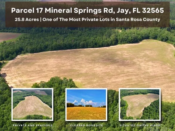 PARCEL 17 Mineral Springs Rd, Jay, FL 32565
