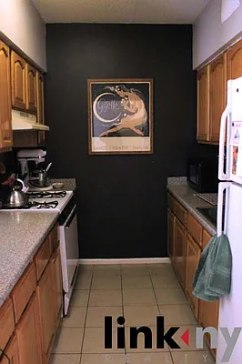 Rented by Link NY Realty | media 33