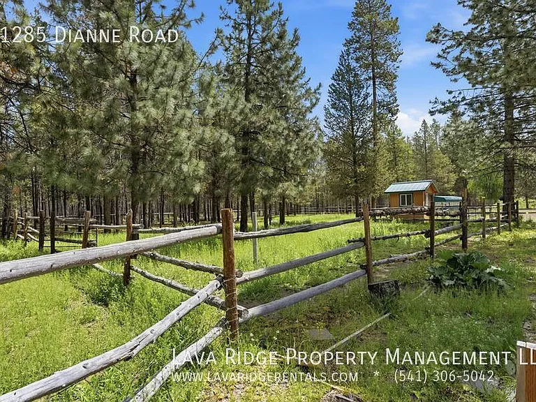 51285 Dianne Rd — Photo 53