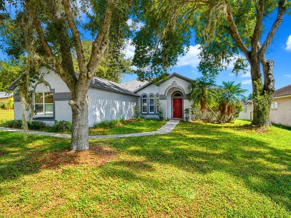 4102 Amber Ridge Ln, Valrico, FL 33594