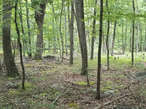 Burger Dr Lot 14, Capon Bridge, WV 26711