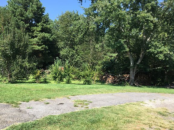 Pear tree on far left 