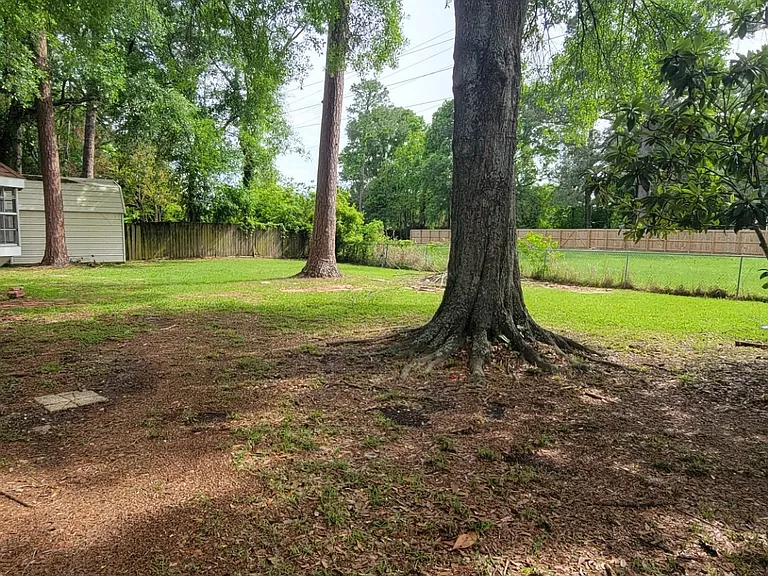 Big Fenced in Backyard