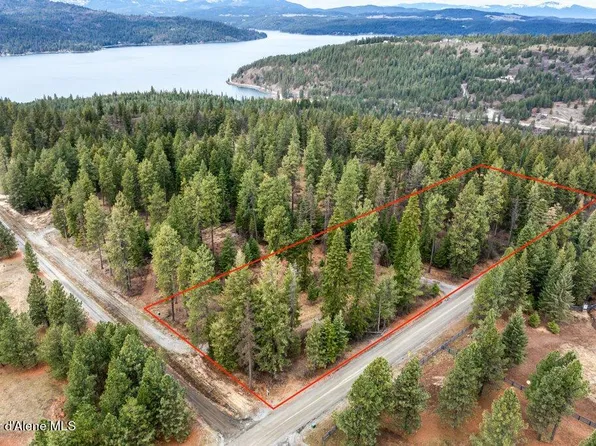 LOT 4 Riddle Rd, Harrison, ID 83833