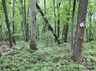 685 Goins Hill Rd, Ten Mile, TN 37880