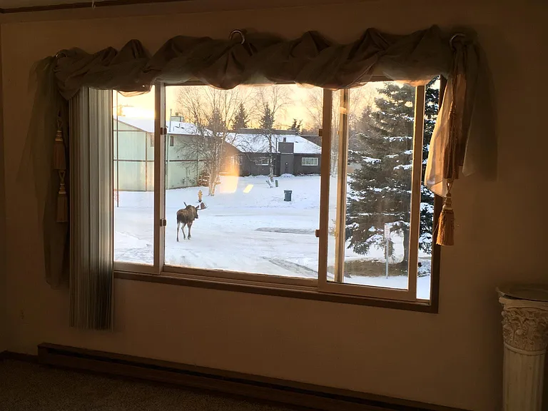 245 Fawn Ct — Photo 15