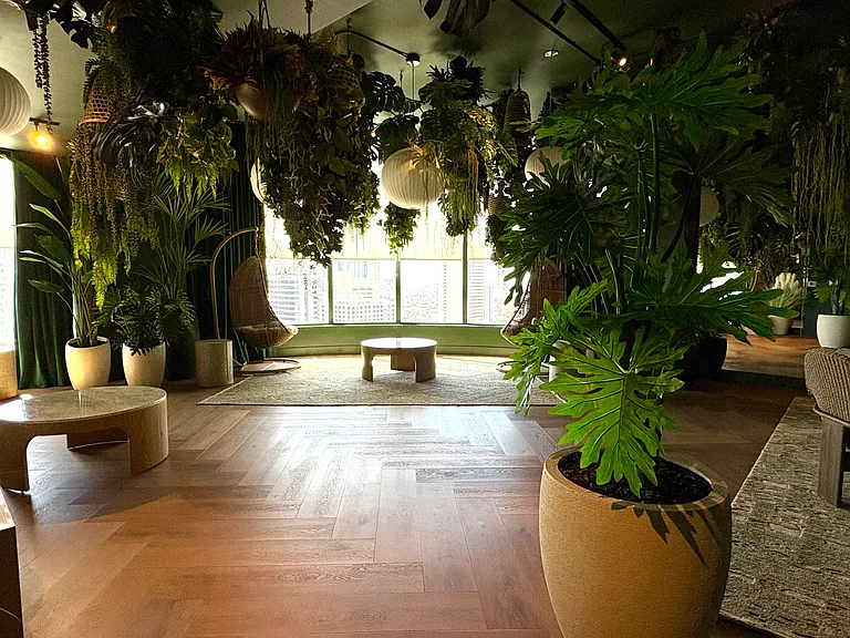 Green relaxation space