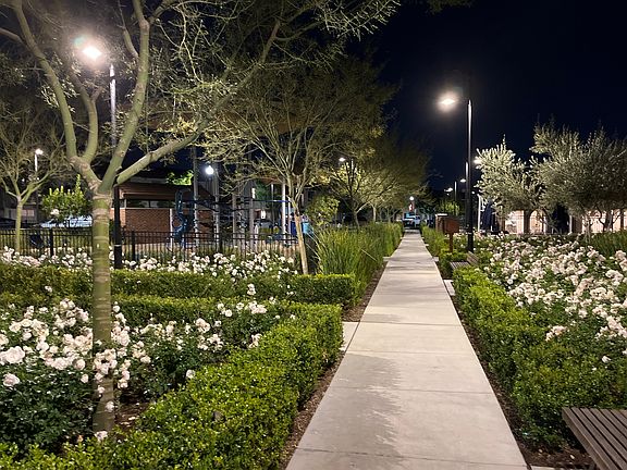 Beautiful Night Time View of 
THE COMMON