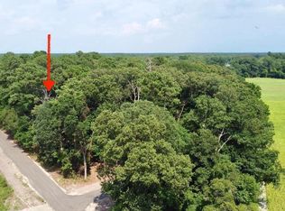 LOT 2 Mount Joy Rd, Millsboro, DE 19966