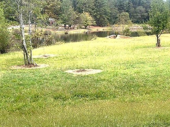 5th image of 136 Lillie Bell Ln #1
