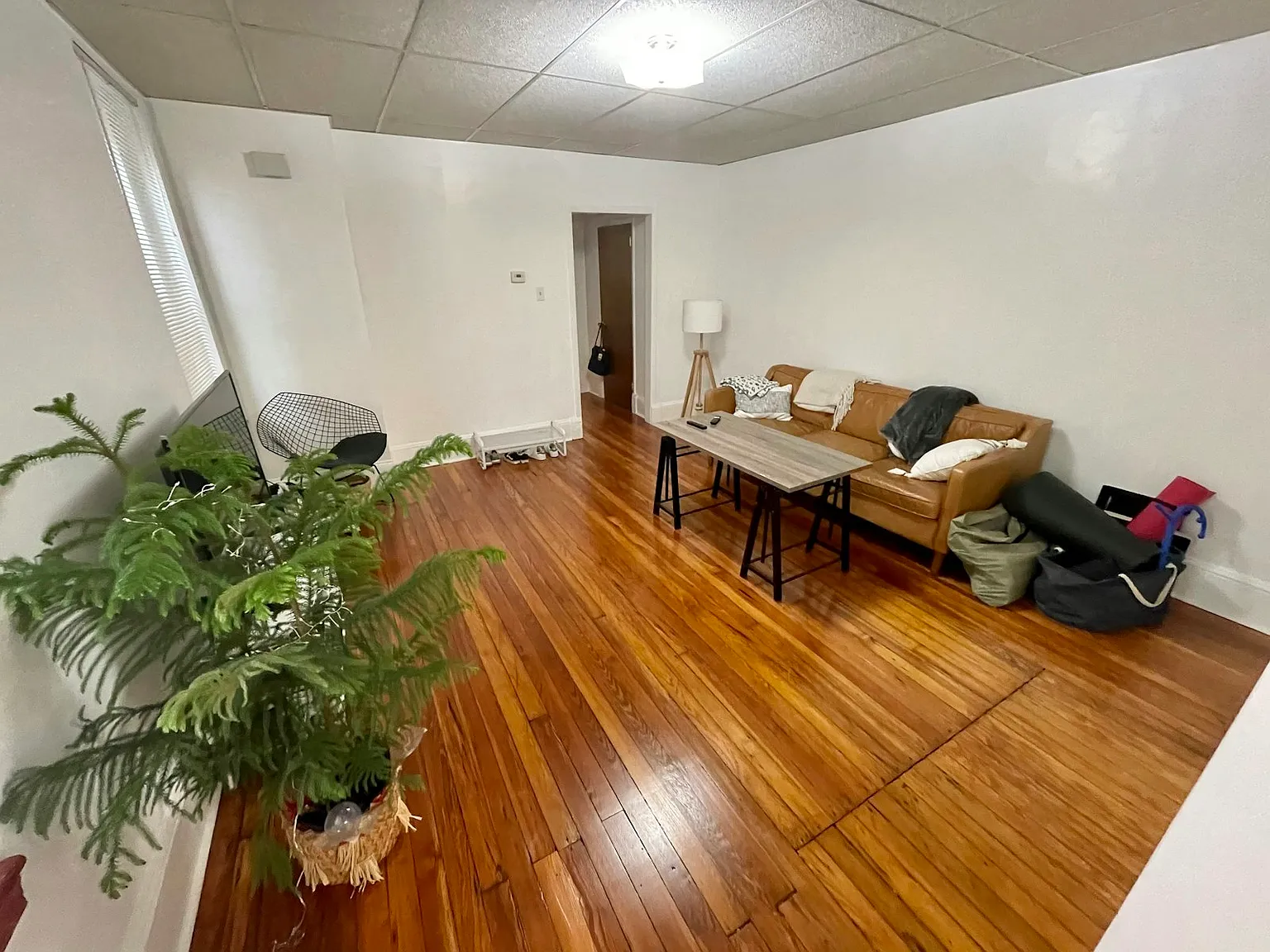 1510 Light Street, Unit 1A — Photo 2